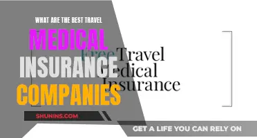 Travel Medical Insurance: Top Companies for Your Trip