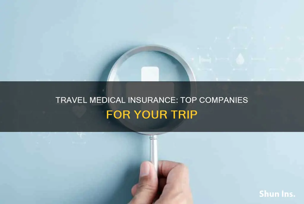 what are the best travel medical insurance companies