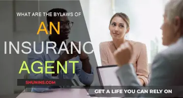 The Legal Framework of Insurance Agents: Understanding Bylaws