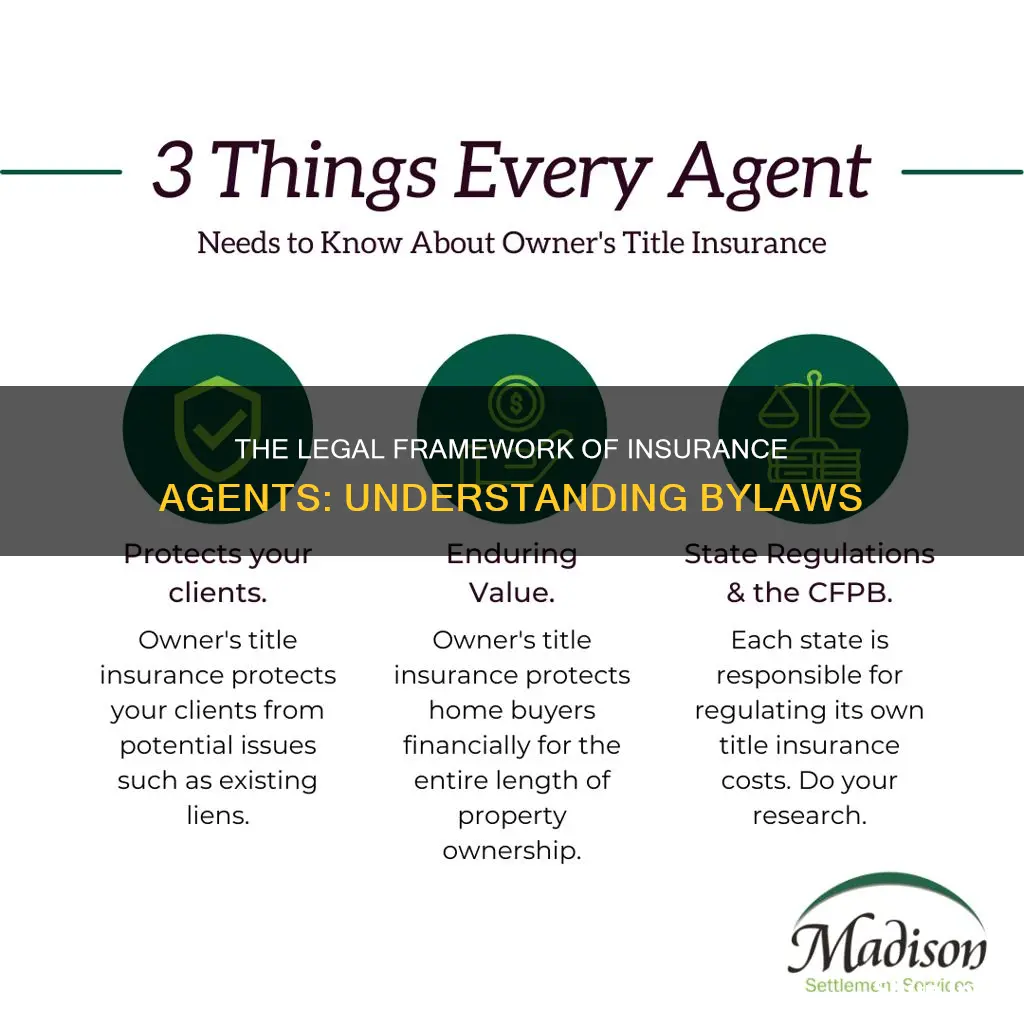 what are the bylaws of an insurance agent