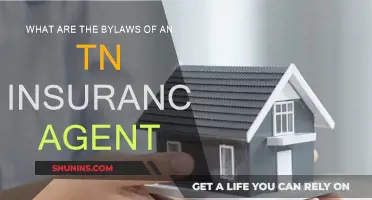Insurance Agent Bylaws: Navigating Tennessee's Legal Landscape
