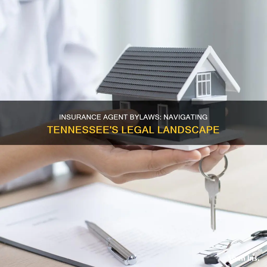 what are the bylaws of an tn insurance agent