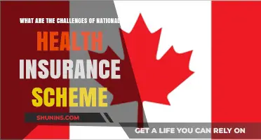 Navigating the Complex Challenges of National Health Insurance Schemes