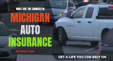 Michigan Auto Insurance: Understanding the Recent Changes