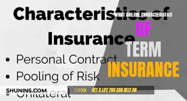 Understanding the Fundamentals: Unraveling the Key Attributes of Term Insurance