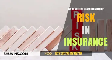 Risk Classification: Insurance's Vital Categories
