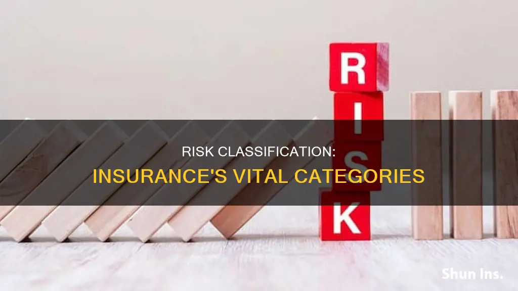 what are the classification of risk in insurance