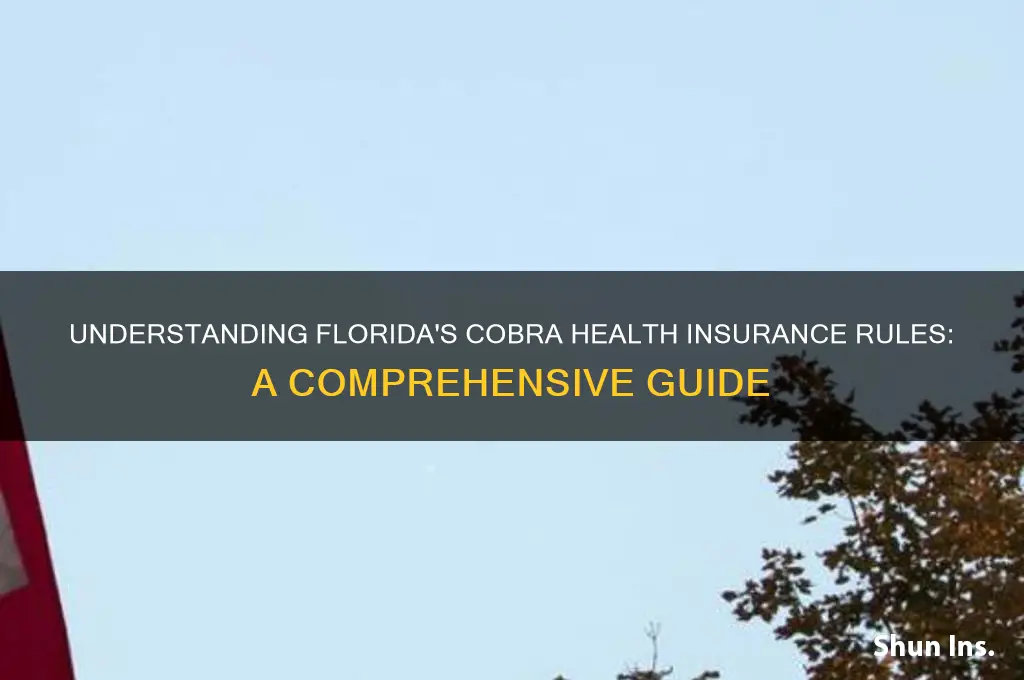 what are the cobra rules in florida for health insurance