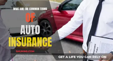 Understanding Auto Insurance: Common Terms and Their Meanings