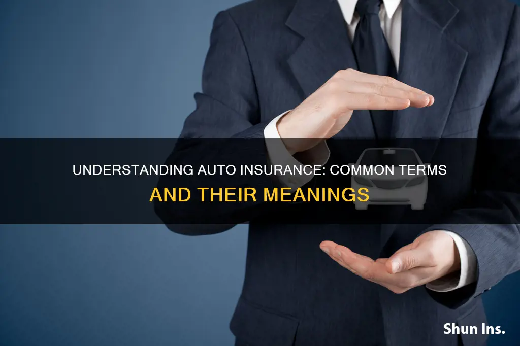 what are the common terms of auto insurance