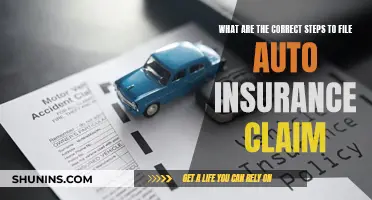 Steps to File an Auto Insurance Claim Correctly