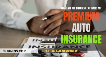 Auto Insurance: Basic vs Premium, What's the Real Difference?