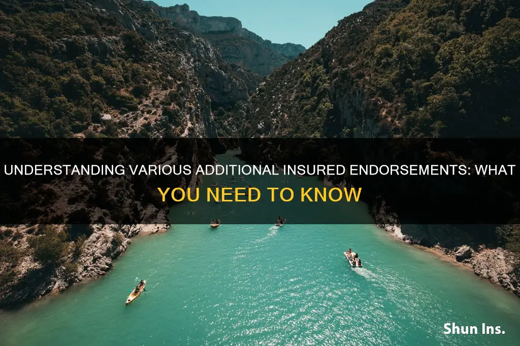 what are the different additional insured endorsements