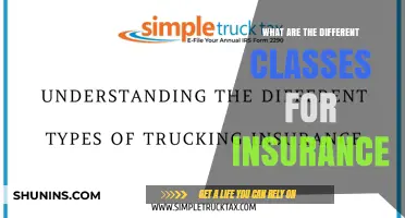 Understanding Insurance: Class Differences and Their Importance