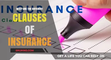 Understanding Insurance: Navigating the Different Clauses