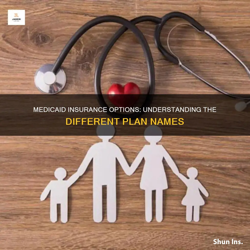 what are the different insurance names for medicaid