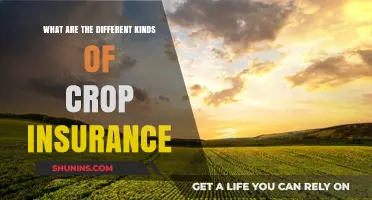 Explore Crop Insurance Types and Their Benefits