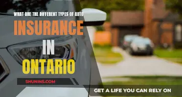 Auto Insurance in Ontario: Understanding the Different Types