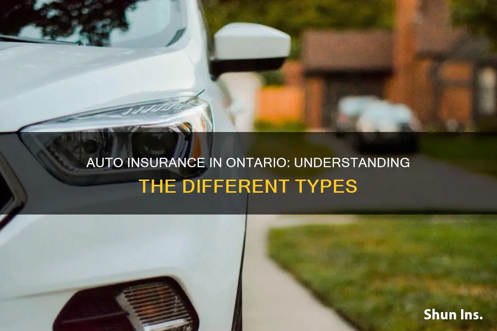 what are the different types of auto insurance in ontario