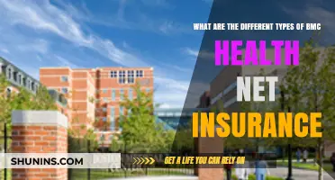 Exploring BMC Health Net Insurance: Types and Coverage Options