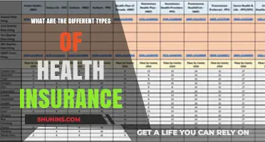 Understanding Health Insurance: Exploring the Various Coverage Types Available