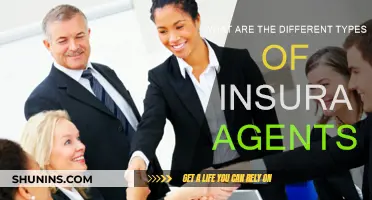 Understanding Insurance Agents: Different Types, Different Roles