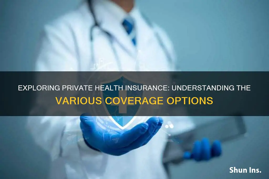 what are the different types of private health insurance