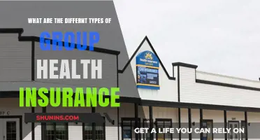 Exploring the Diverse Types of Group Health Insurance Plans
