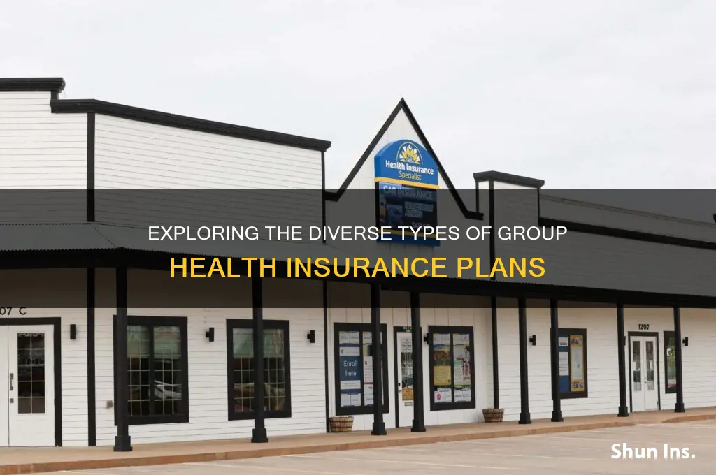 what are the differnt types of group health insurance