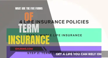 The Many Faces of Term Insurance: Unraveling the Five Distinct Forms