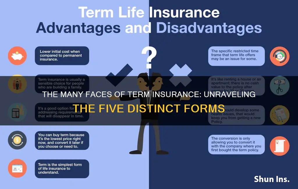 what are the five forms of term insurance