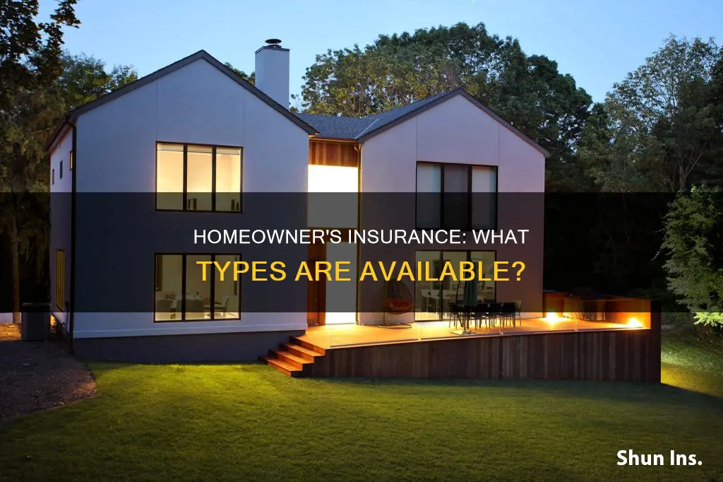 what are the forms of homeowner