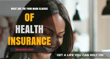Understanding Health Insurance: A Guide to the Four Main Classes