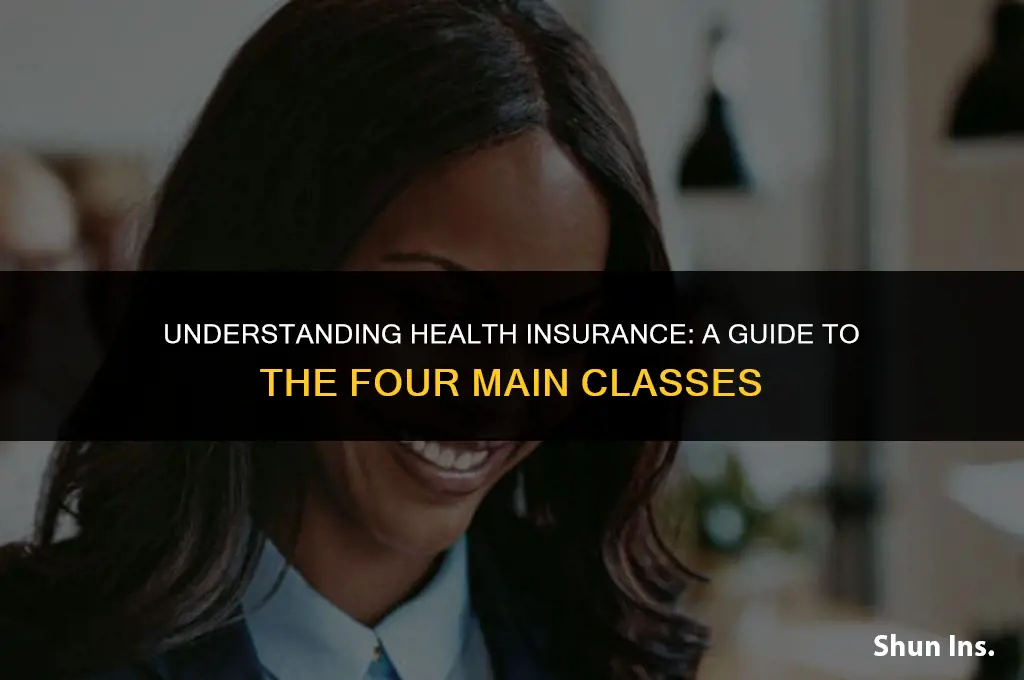 what are the four main classes of health insurance