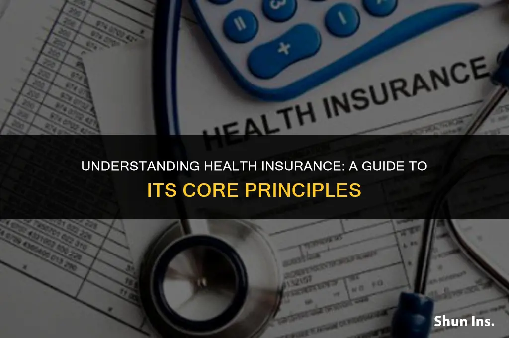what are the general principles of health insurance