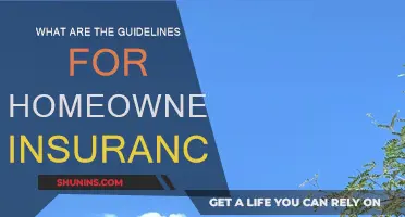 Home Insurance: Guidelines for Homeowners to Know