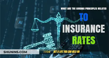 Insurance Rates: Guiding Principles and Key Factors