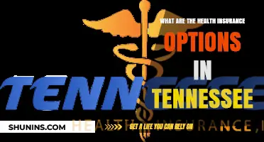 Exploring Health Insurance Choices in Tennessee: A Comprehensive Guide