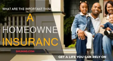 Home Insurance: What You Need to Know