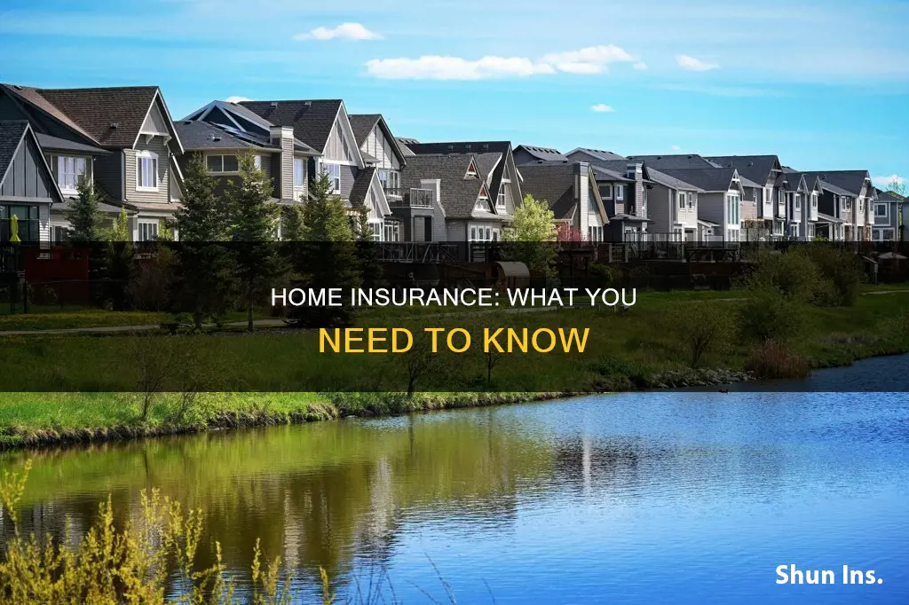 what are the important things in a homeowners insurance