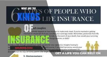 Explore the Many Types of Insurance Policies Available