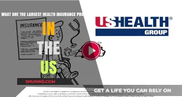 Exploring the Largest Health Insurance Programs in the US