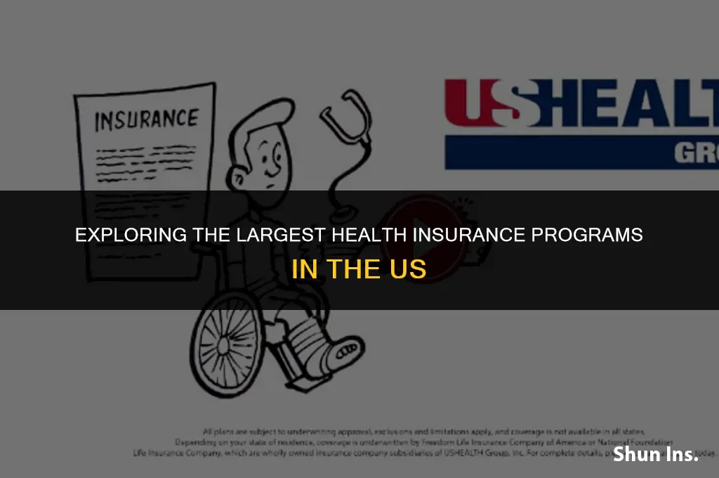 what are the largest health insurance programs in the us