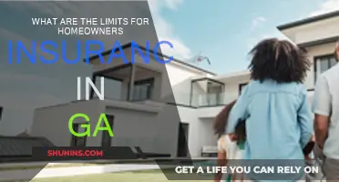 Understanding Homeowners Insurance Limits in Georgia
