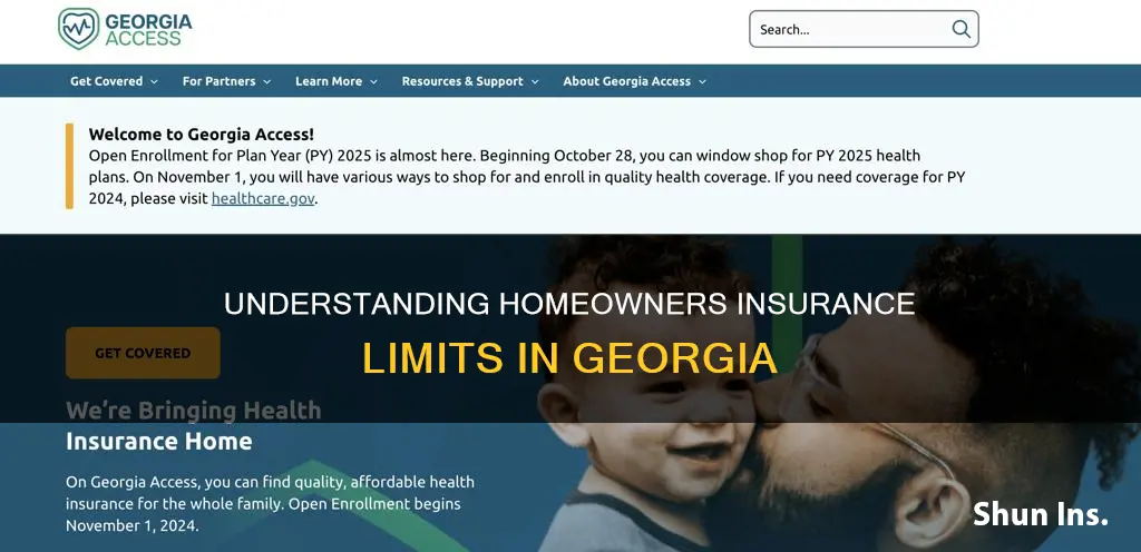what are the limits for homeowners insurance in ga