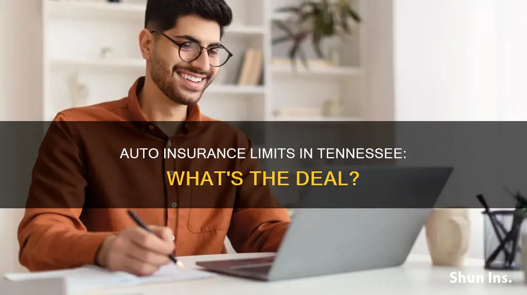 what are the limits on auto insurance in tn