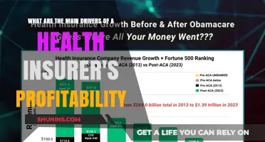 Decoding Profitability: Key Factors Shaping Health Insurers' Success