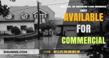 Flood Insurance: Maximum Coverage for Commercial Properties