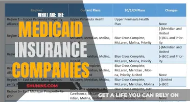 Medicaid Insurance Companies: Who Are They?