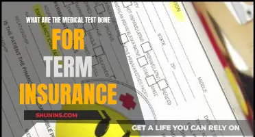 Medical Tests for Term Insurance: What to Expect